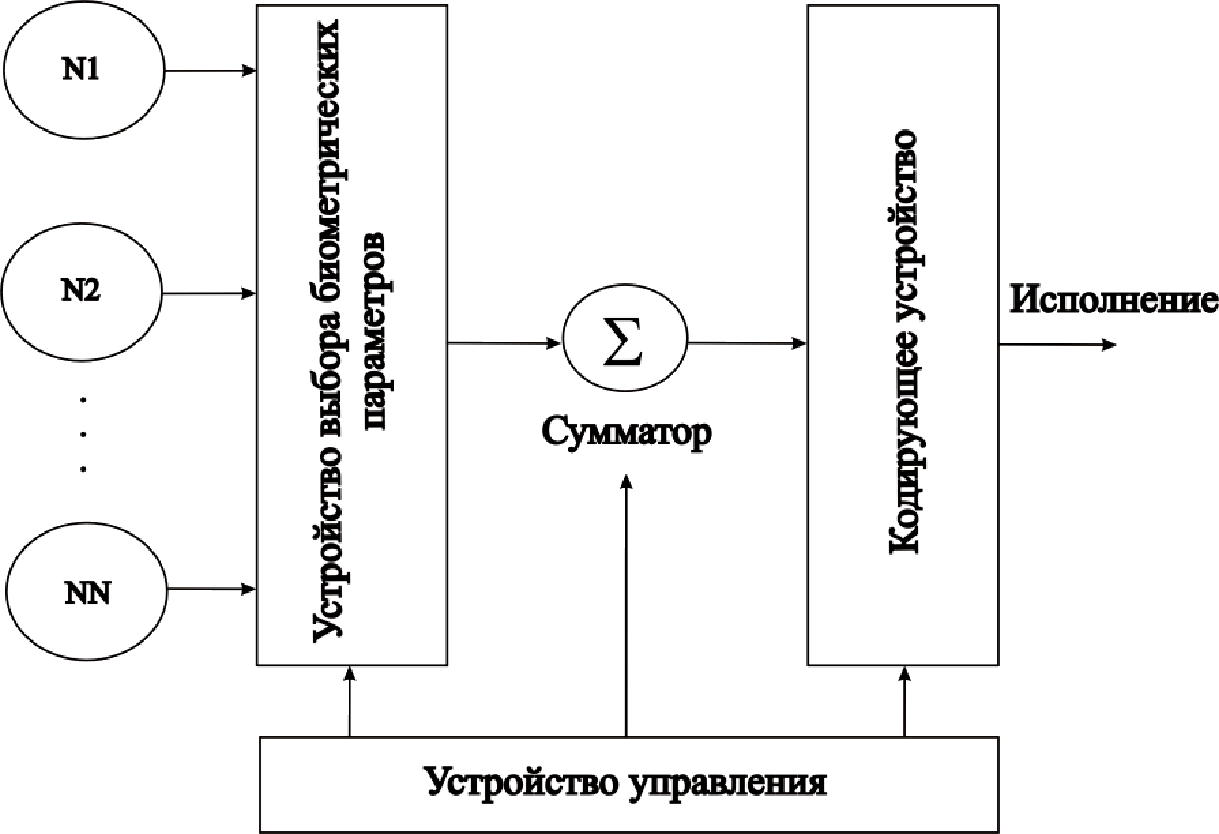 Суммирование биометрических параметров