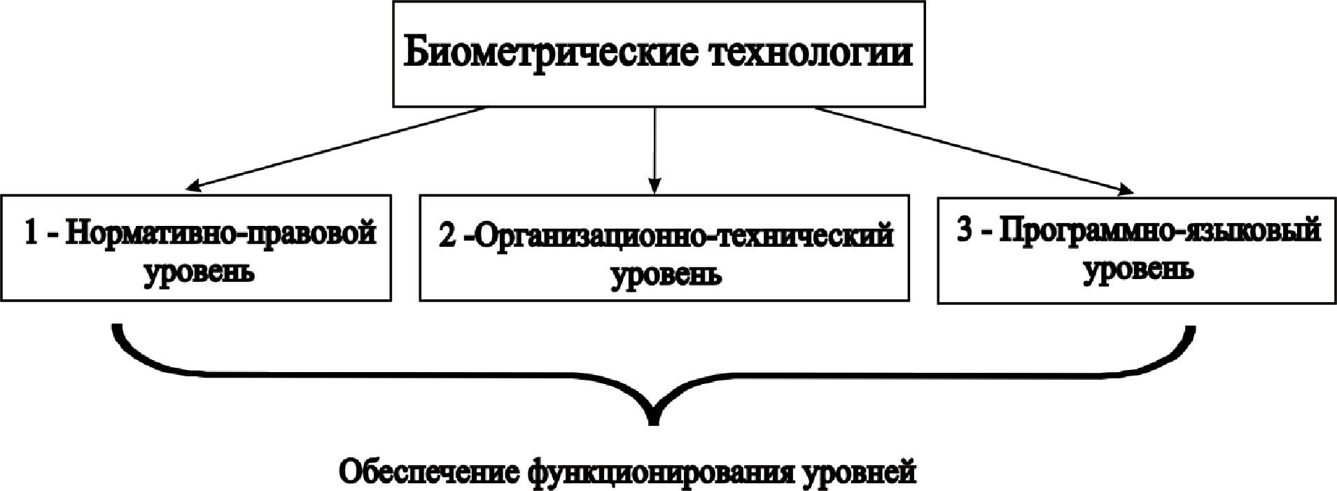 Уровневое распределение биометрических технологий