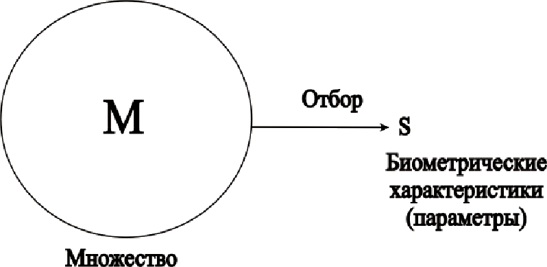 Выбор биометрической характеристики (параметра)