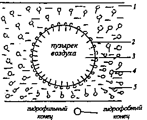 Механизм пенного фракционирования